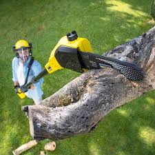 Reliable On Top Of The World Designated Place, FL Tree Care Solutions